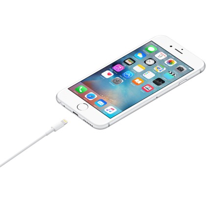Cavo Apple Usb Lightning 1 Metro