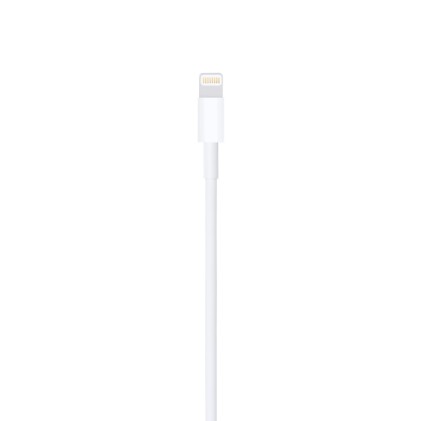 Cavo Apple Usb Lightning 1 Metro