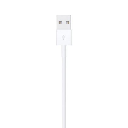 Cavo Apple Usb Lightning 1 Metro