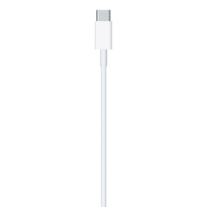 Cavo Usb-C Lightning 1Mt Apple Type C