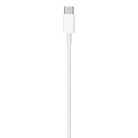 Cavo Usb-C Lightning 1Mt Apple Type C