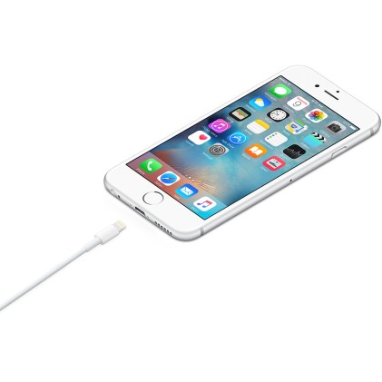 Apple Cavo Da Lightning A Usb