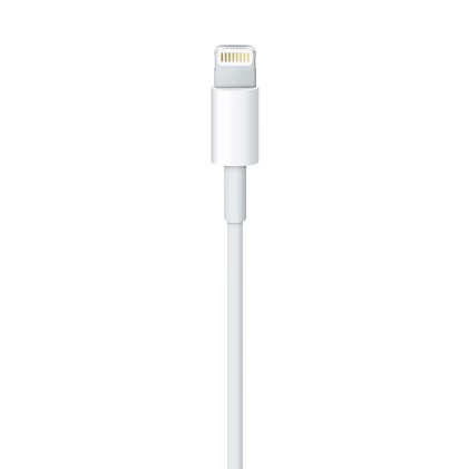 Apple Cavo Da Lightning A Usb