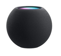 Speaker Apple Home Pod Mini Space G Ray Bluethoot
