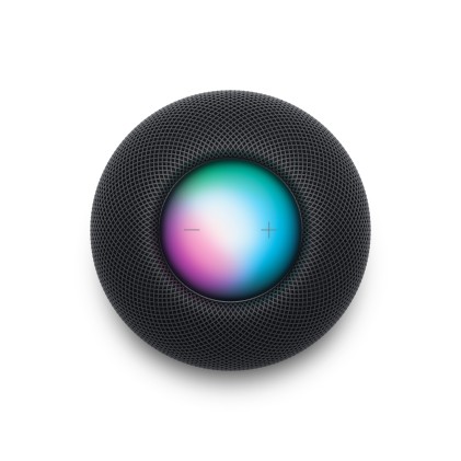 Apple Homepod Mini Space Gray