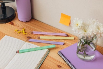 BIC Evolution 2HB 12 pz