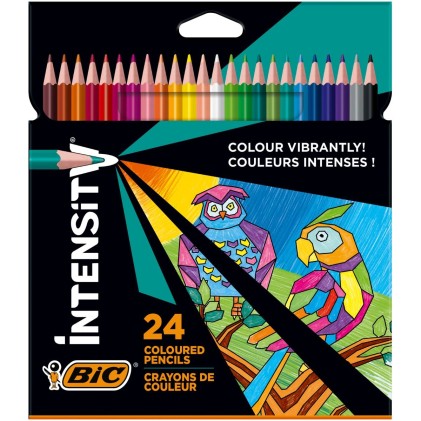 BIC 9641481 pastello colorato 24 pz