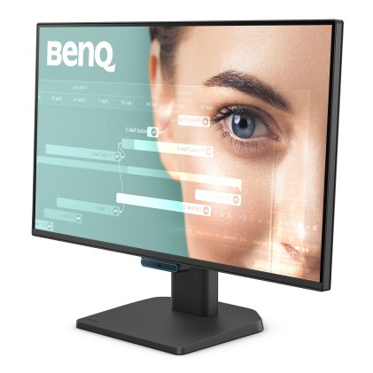 Mon 23.8Ips Hdmi Dp Mm Usbc Benq Gw2490C Fhd