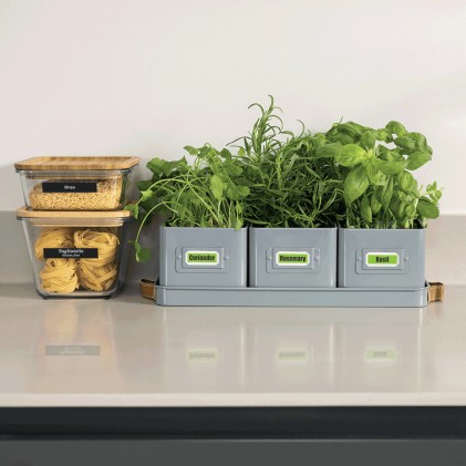 ORIGINALE Brother Nastro Nero su verde Btag-G31 Btag-G31