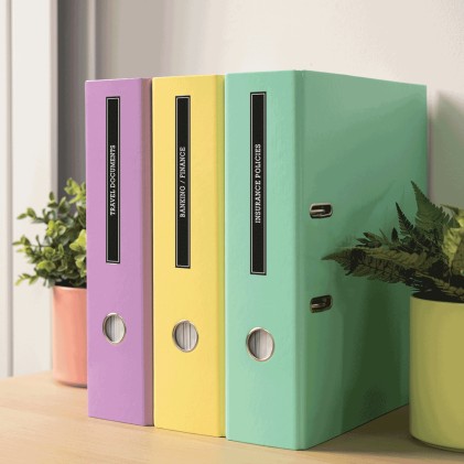 ORIGINALE Brother stampante Blu / Bianco P-touch N20 PTN20RG1