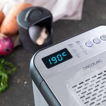 Cecotec 04300 friggitrice Singolo 3,2 L Indipendente 2400 W Acciaio inox