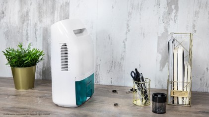 Cecotec BigDry 2500 Essential 360 2 L 40 W Bianco