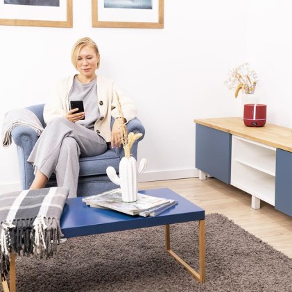 Cecotec PureAroma 550 Connected Garnet Aroma Diffuser 500ml Bluetooth - Display LED - Altoparlante - Timer 12h - 3 modalit&agrave; operative - Copertura 30m2