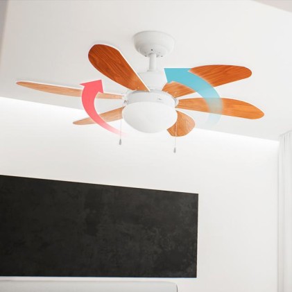 Cecotec 05939 ventilatore Bianco, Legno