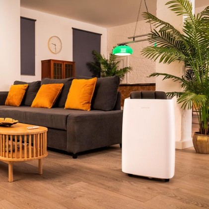 Cecotec BigDry 10000 Expert Connected 6 L 20 dB 580 W Bianco