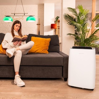 Cecotec BigDry 10000 Expert Connected 6 L 20 dB 580 W Bianco