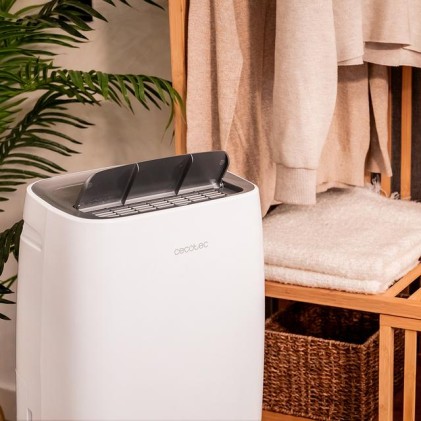 Cecotec BigDry 10000 Expert Connected 6 L 20 dB 580 W Bianco