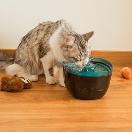 Cecotec Pumba 2200 Refresh distributore di cibo e acqua per cani e gatti Plastica Nero, Blu Universale Abbeveratoio automatico per animali domestici