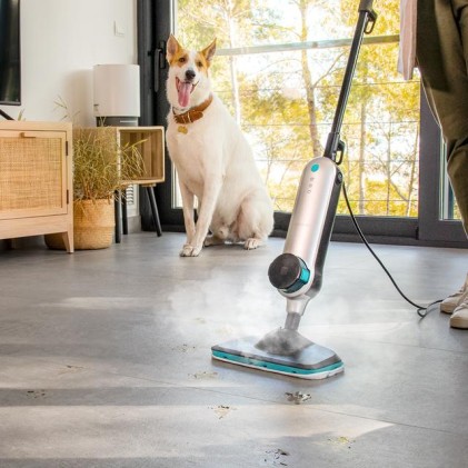Cecotec HydroSteam 3030 Blaze Pulitore a vapore portatile 0,33 L 1500 W Grigio, Nero