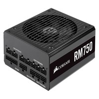 CORSAIR RM750 750W 80 PLUS Gold Certified Fully Modular PSU EU version
