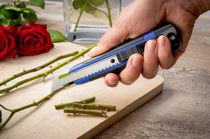 Dahle 10875 taglierino 1,8 cm