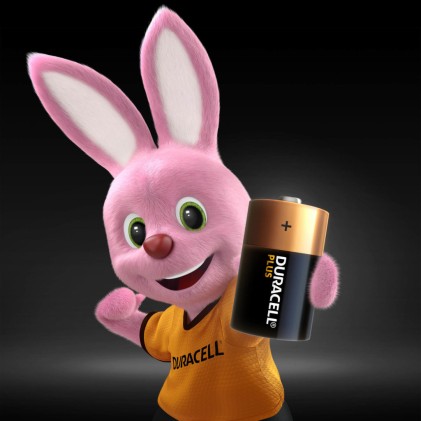 Duracell Plus Batteria monouso D Alcalino