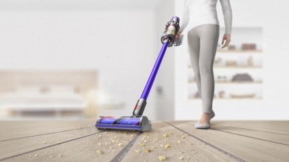 Aspirapolvere Dyson V10 Animal 