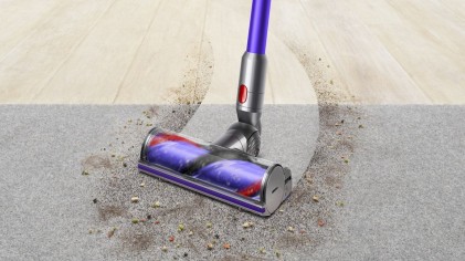 Aspirapolvere Dyson V10 Animal 