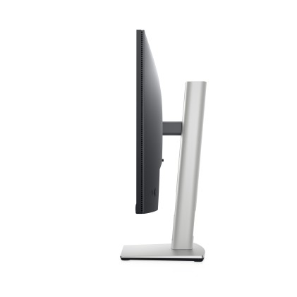 DELL Monitor 24 - P2422H