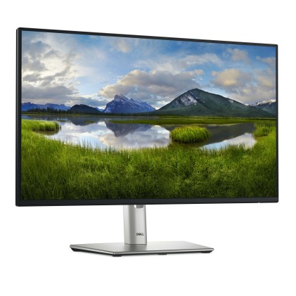 Dell Monitor 24 Led Ips 16:9 Fhd 8Ms 300Cdm, Pivot, Vga/Dp/Hdmi, P2425  3 Anni Gar Incl