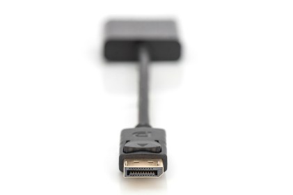 Cavo Adattatore Displayport Dp 1.2 Maschio - Vga 15 Poli Femmina Cm 15