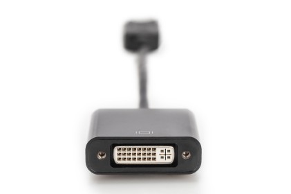 Digitus Cavo Adattatore Displayport - Dvi