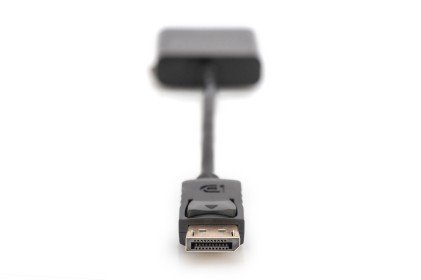 Digitus Cavo Adattatore Displayport - Dvi