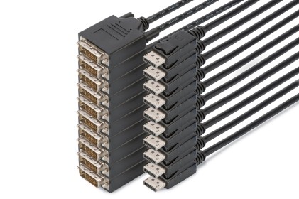 Set 10 Cavi Displayport - Dvi (24+1) M/M, 2.0M Full Hd