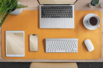 Digitus Tappetino Da Scrivania / Mouse Pad (90 X 43 Cm), Blu / Marrone