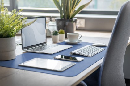 Digitus Tappetino Da Scrivania / Mouse Pad (90 X 43 Cm), Blu / Marrone