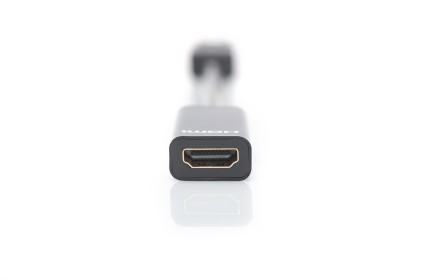 Adattatore Hdmi Femmina - Displayport Maschio Digitus
