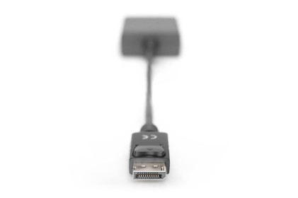 Adattatore Displayport Maschio - Dvi 24+5 Femmina Digitus