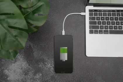 Digitus Adattatore Da Lightning A Cavo Dati/Di Ricarica Usb - C, Certificato Mfi