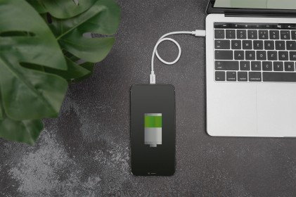 Digitus Cavo Dati/Di Ricarica, Lightning-Usb-CЄ, Mfi, 1M