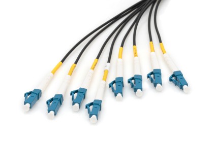 Cavo Breakout Universale In Fibra Ottica Dotato Di Terminali, Multimode Om4, 8 Fibre, Lc/Upc - Lc/Upc   50 Mt. Colore Nero
