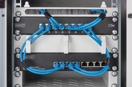Digitus Switch Gigabit Ethernet  Da 8 Porte A 10 Pollici, Gestito L2+