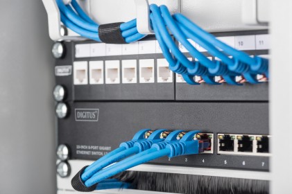 Digitus Switch Gigabit Ethernet  Da 8 Porte A 10 Pollici, Gestito L2+