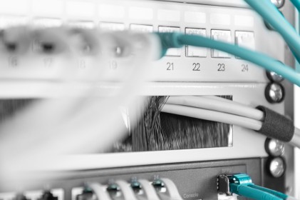 Pannello Di Chiusura Armadio Rack Con Foro Entrata Cavi Protetto Da Spazzola Colore Grigio 1U