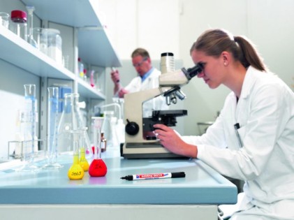 Edding 8014 marcatore permanente Tipo di punta Nero 1 pz