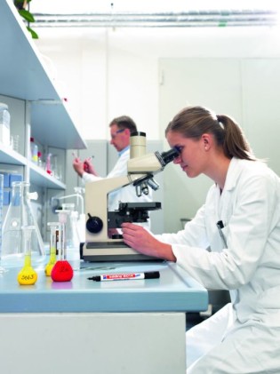 Edding 8014 marcatore permanente Tipo di punta Nero 1 pz