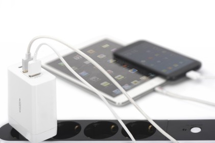 Caricabatteria Universale Da Viaggio Ednet Usb + Tipo C