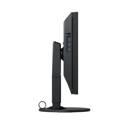 Eizo Monitor 24,1 Led Ips 16:10 1920X1200 350 Cdm, Dvi/Dp/Hdmi, 99 Adobe Rgb, Calib Hw, Sw Calib Incluso, Pivot, Coloredge Cs2420