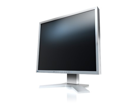 MONITOR EIZO 19" SERIE FLEXSCAN IPS LED GRIGIO