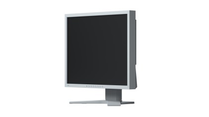 MONITOR EIZO 19" SERIE FLEXSCAN IPS LED GRIGIO